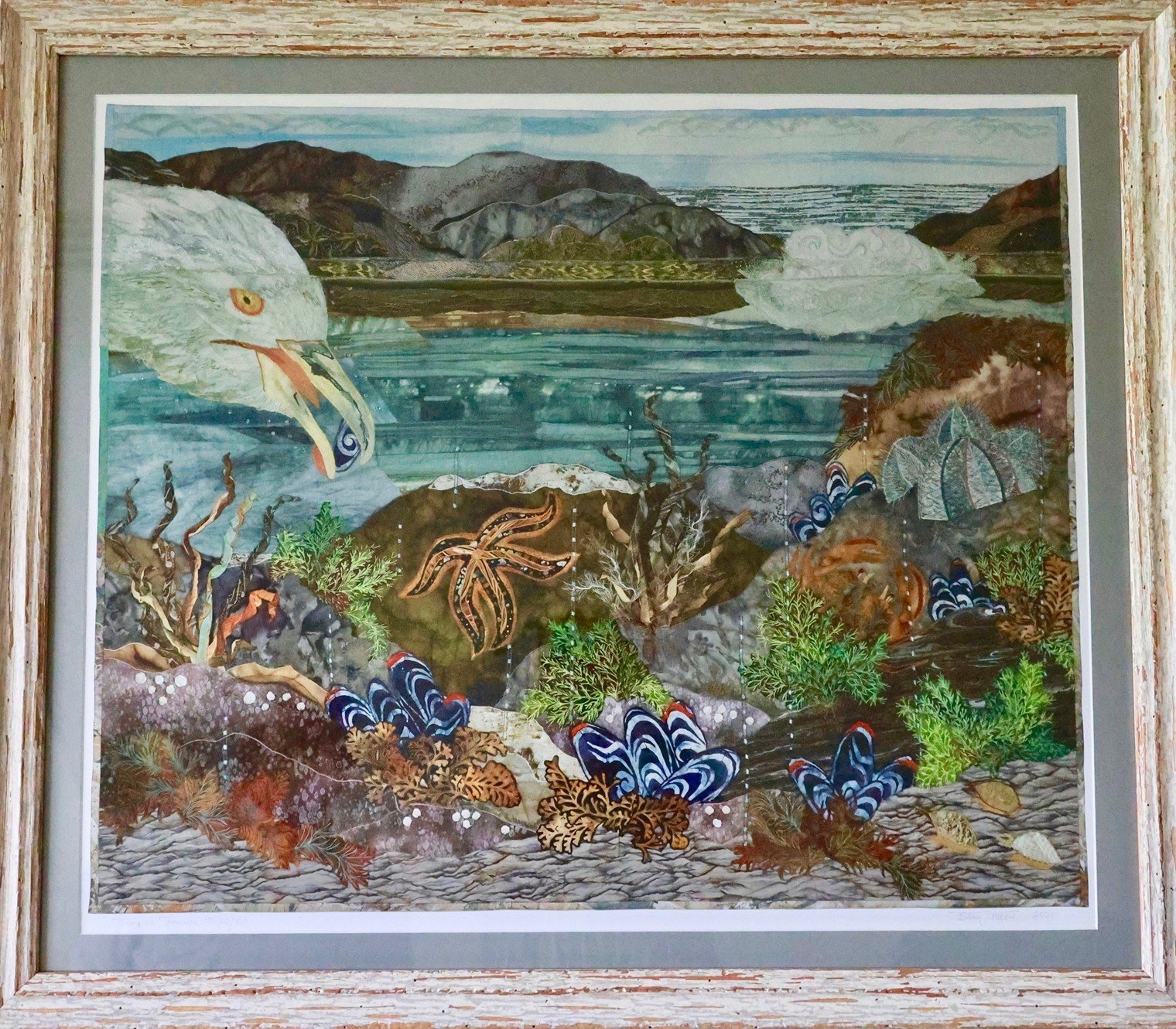 Betsy Abbott - Tidepool Treasure